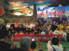 皇森尹总与各路功夫豪杰